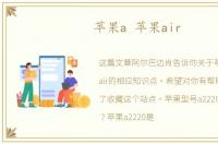 苹果a 苹果air