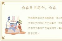 哈森集团简介，哈森