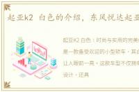 起亚k2 白色的介绍，东风悦达起亚k2白色