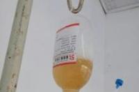 石灰乳属不属于溶液？ 石灰乳是溶液吗
