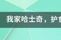 哈士奇护食怎么办？ 哈士奇护食咬人怎么办