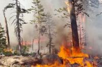美国加州山火过火面积超607万平，为何山火浇不灭？ 加州山火灭了吗