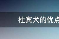 杜宾犬的优缺点？ 小杜宾犬的优点和缺点