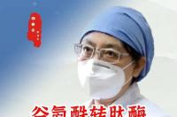 谷氨酰转肽酶偏高是什么意思 女性谷氨酰转肽酶偏高的原因