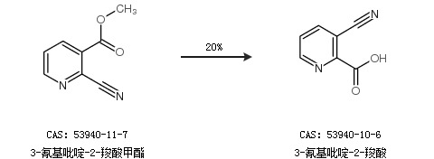 t019b25f5cd2f6e2854.png