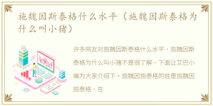 施魏因斯泰格什么水平（施魏因斯泰格为什么叫小猪）
