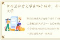 新西兰林肯大学在哪个城市，新西兰林肯大学