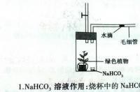 碳酸氢钠化学式是？ 碳酸氢钠的化学式怎么写