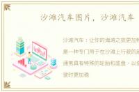 沙滩汽车图片，沙滩汽车