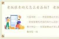 老版狼青幼犬怎么看品相？ 老版狼青
