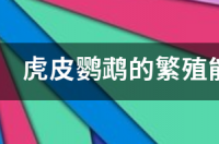 鹦鹉发情了，如果不挂繁殖箱，是不是不会下蛋？ 不挂繁殖箱鹦鹉会下蛋吗