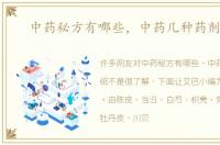 中药秘方有哪些，中药几种药剂介绍