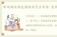 新闻稿现场氛围很好怎么形容 宠物新闻稿