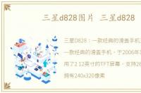 三星d828图片 三星d828