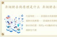 异烟肼杀狗原理是什么 异烟肼杀狗原理