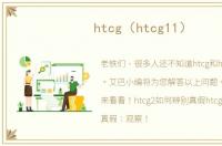 htcg（htcg11）