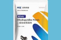 二氢吡啶类简介 二氢吡啶类药物的构效关系