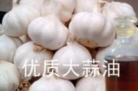 怎样提炼大蒜精油？ 大蒜油的六大神奇功效