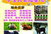 国内什么地方有宠物猫养殖基地 上海宠物繁殖基地
