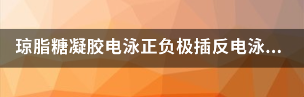 t01031a9ca2f4ab6396.png
