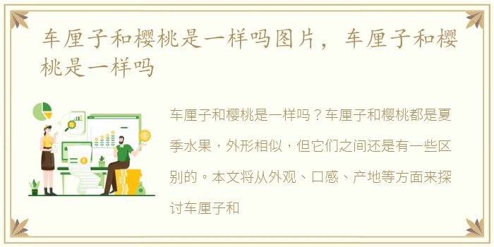 车厘子和樱桃是一样吗图片，车厘子和樱桃是一样吗