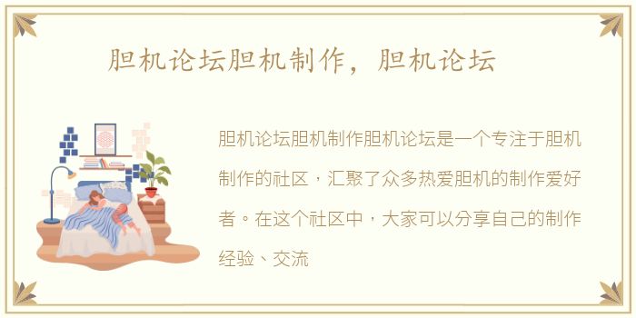 胆机论坛胆机制作，胆机论坛
