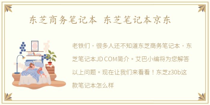 东芝商务笔记本 东芝笔记本京东