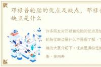 邓禄普轮胎的优点及缺点，邓禄普轮胎优缺点是什么