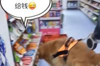 关于狗狗的幽默小笑话 搞笑狗狗大全