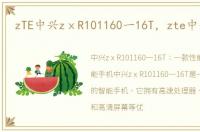zTE中兴zⅹR101160一16T，zte中兴u880