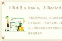 上海车展大众polo，上海polo车友会