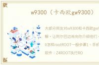 w9300（卡西欧gw9300）