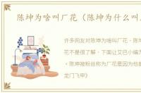 陈坤为啥叫厂花（陈坤为什么叫厂花）
