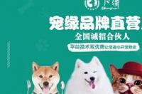 宠物美容开店要投资多少钱啊？ 宠物美容加盟