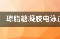 如何制备琼脂糖凝胶？ 琼脂糖凝胶电泳制胶