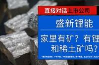盛新锂能值得长期投资吗 盛新锂能