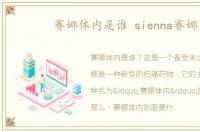 赛娜体内是谁 sienna赛娜