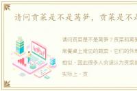 请问贡菜是不是莴笋，贡菜是不是莴笋