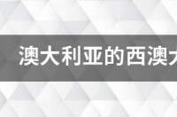 西澳大学和国内哪所大学差不多排名？ 西澳大利亚大学和西澳大学