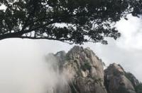 70岁以上黄山旅游攻略？ 去黄山旅游的攻略