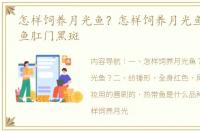 怎样饲养月光鱼？怎样饲养月光鱼？ 月光鱼肛门黑斑