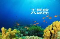 农历的2004年12月14是什么星座？ 十月十四是什么星座