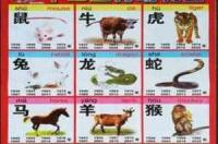 猴比马小几岁？ 8岁属马的是什么星座