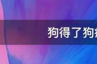 狗得了犬瘟热能活多久？ 狗瘟能活多久