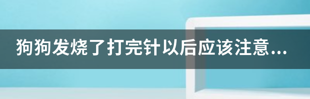 t01adb0a12d49aff153.png