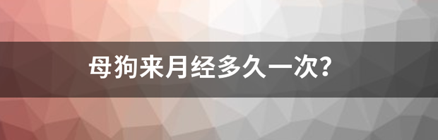 t01688c3c1ecadefc1c.png
