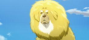 藏獒的内容简介 藏獒多吉獒王