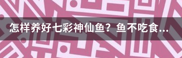 t01e61b2cc2bba5da35.png