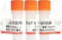1%BSA怎么配置 牛血清白蛋白英文