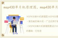 msp430单片机原理图，msp430单片机论坛
